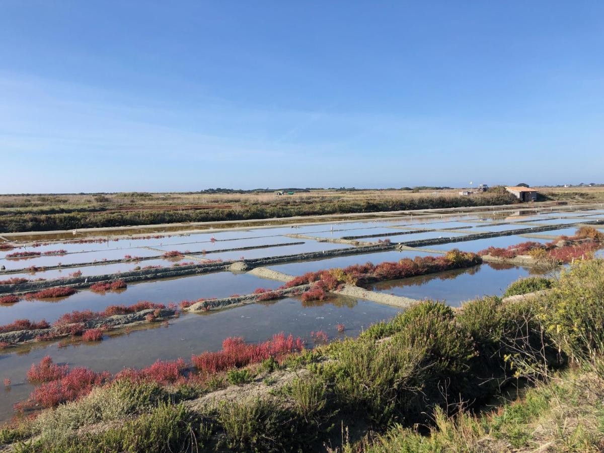 Les Pois Sont Verts La Rochelle  Exterior photo